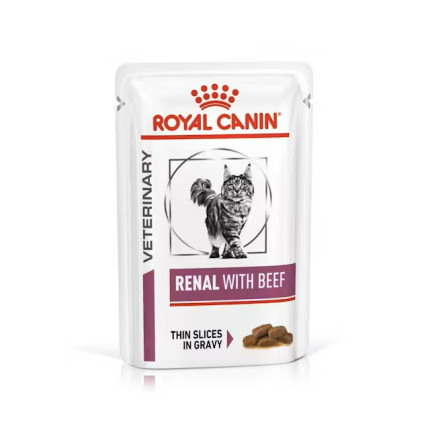 VHN Cat Renal Beef Gravy