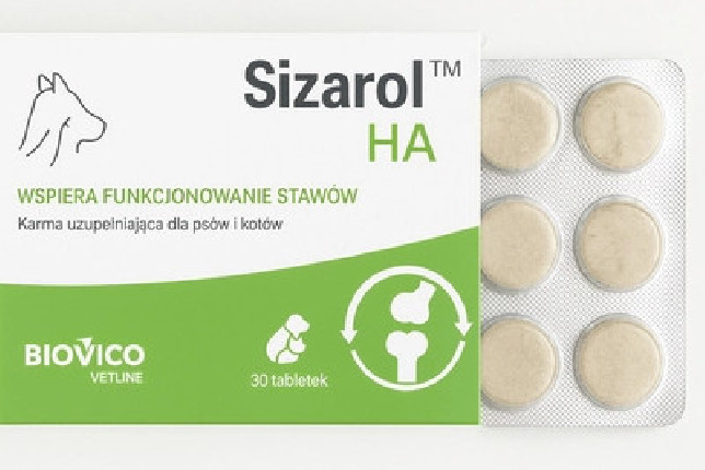 BIOVICO Sizarol Complex HA
