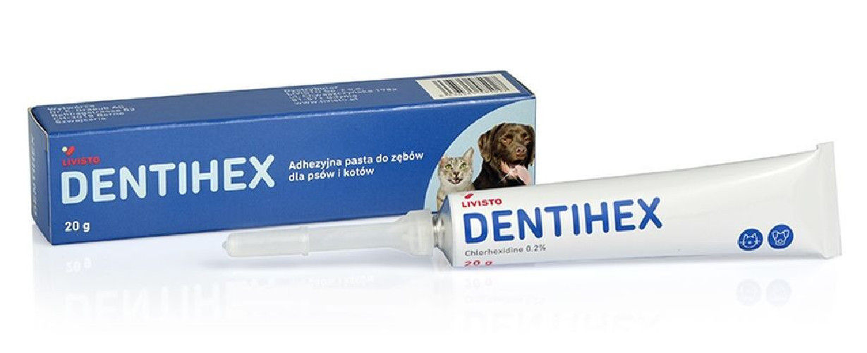 LIVISTO Dentihex Pasta Adhezyjna do zębów dla psa i kota