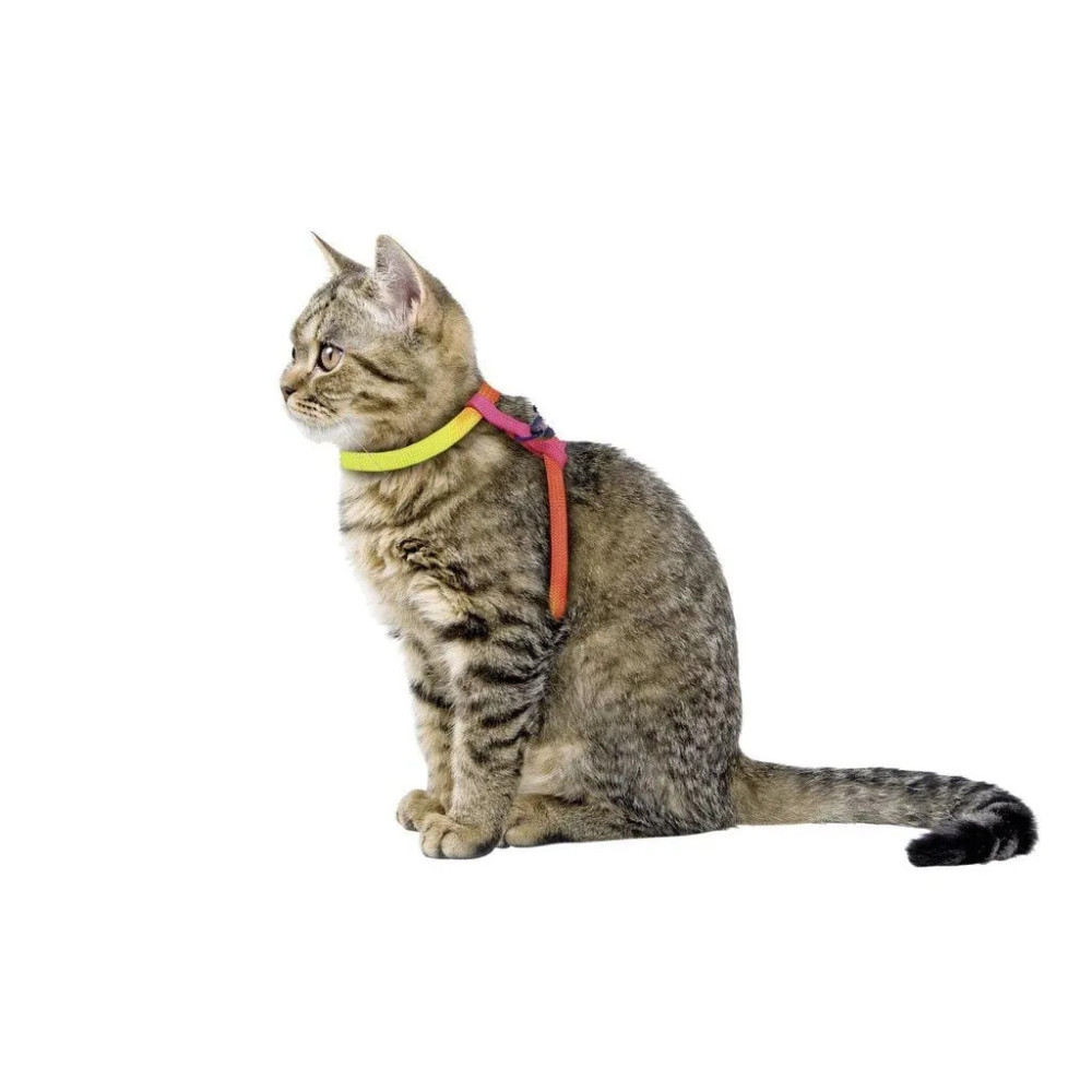 Kerbl Szelki dla kota ze smyczą Rainbow