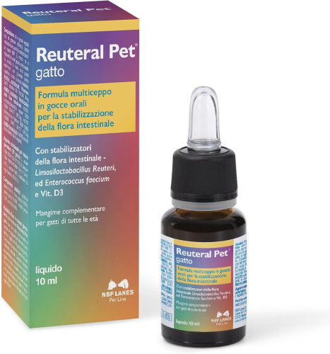 Nbf Lanes Reuteral Pet Gatto Krople Probiotyk Stabilizujący Florę Bakteryjną Przy Biegunkach I Problemach Pokarmowych 10ml