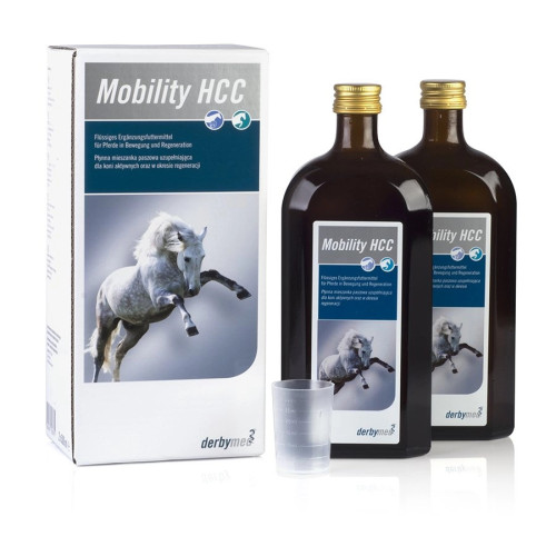 LIVISTO Derbymed Mobility HCC 2x500ml