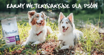 Co sprawia, że monobiałkowe karmy Exclusion są korzystne dla zdrowia zwierząt?