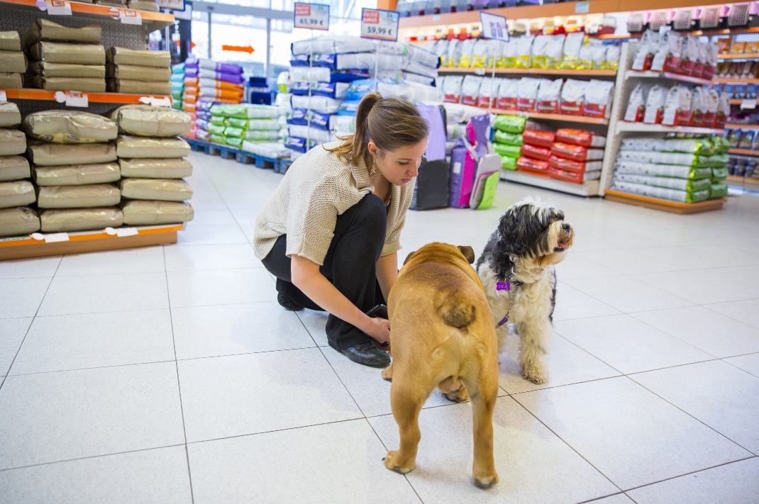 suplementy dla zwierząt